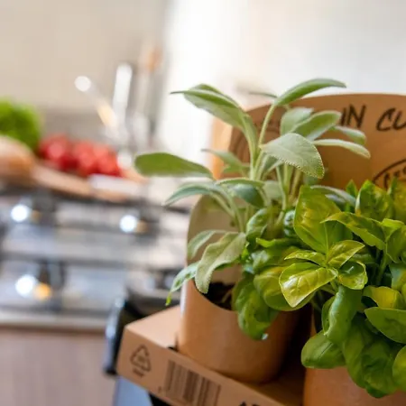 Casa Pier - Centralissima In D'epoca *