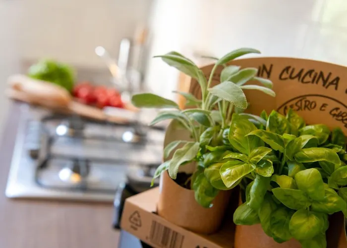 Casa Pier - Centralissima In D'epoca *